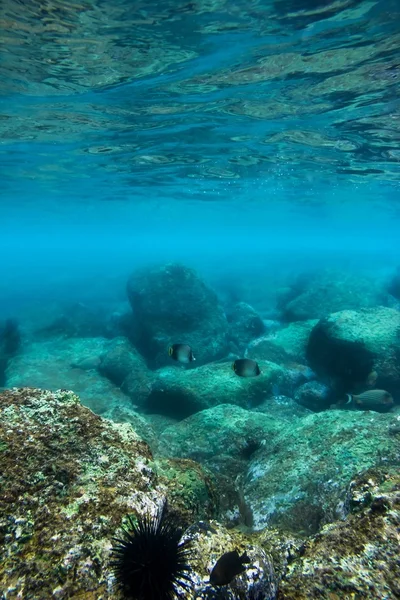 Meeresboden mit blauer Wasserwelle — Stockfoto