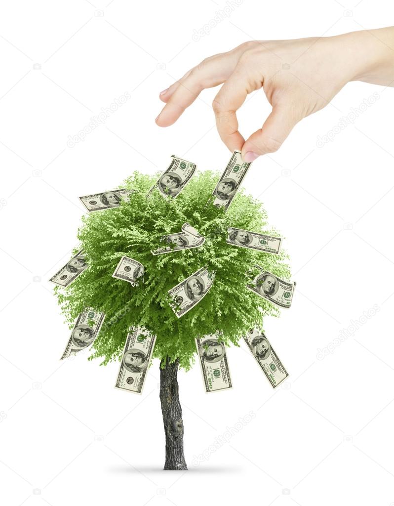 Hand take bill from money tree