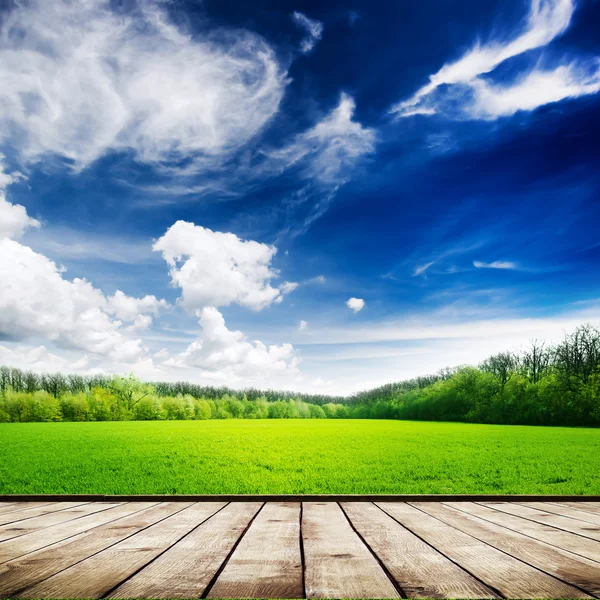 Campo verde sotto il cielo blu — Foto Stock