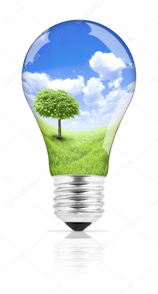 Lightbulb with summer meadow