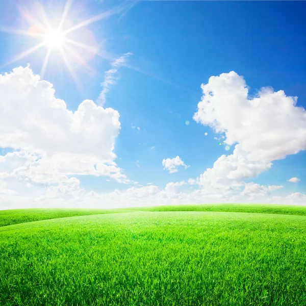 Campo verde bajo cielo azul — Foto de Stock