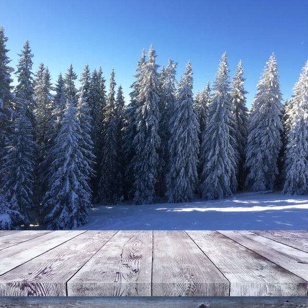 Inverno floresta natureza fundo — Fotografia de Stock