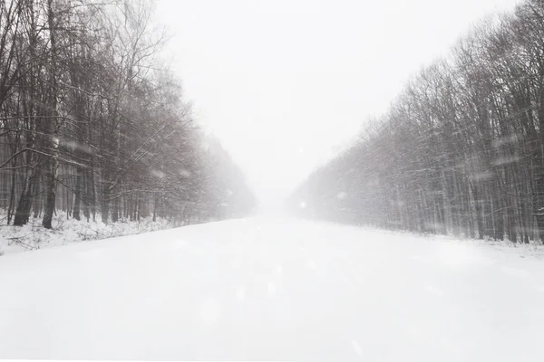 Шосе в зимовому лісі — стокове фото