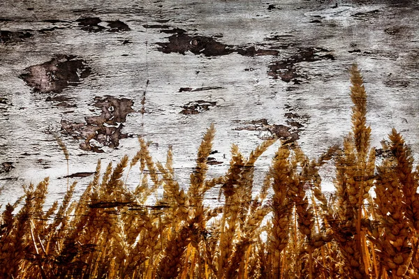 Треснувшая текстура дерева и желтая пшеница — стоковое фото