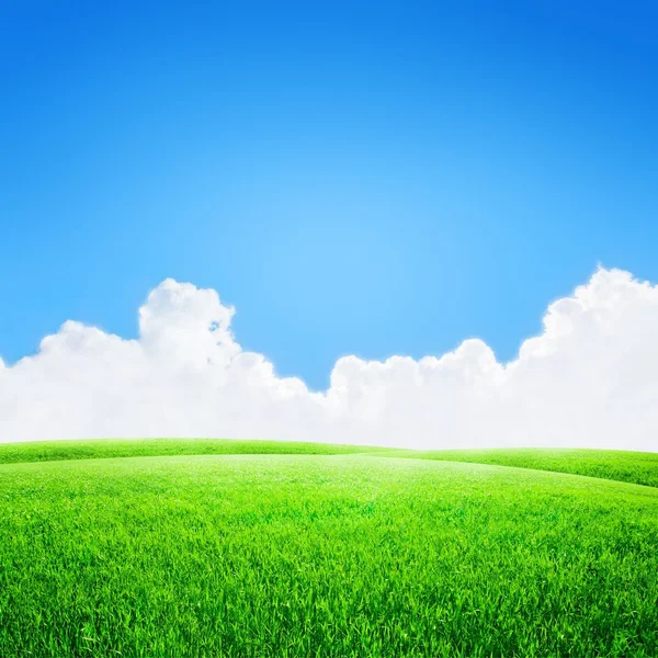 Campo verde bajo cielo azul con fondo de nubes blancas — Foto de Stock