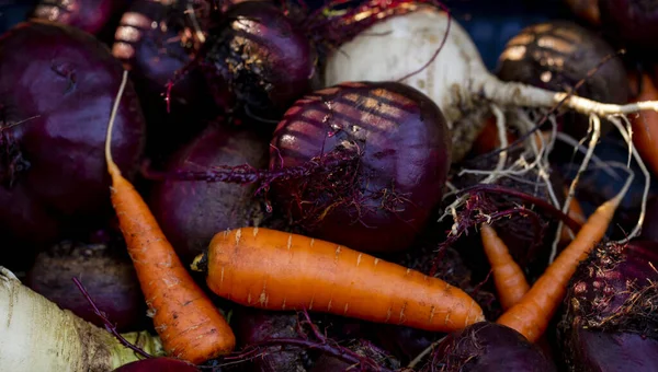 Background Fresh Carrots Tops Beets Soil Garden Harvesting Autumn Close — Stock Photo, Image