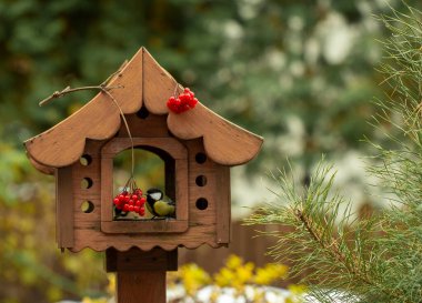 Sonbaharda kuş yemliği, güz bahçesi kuşları kuş yemliğinden gagalar, güz kuşu yemi