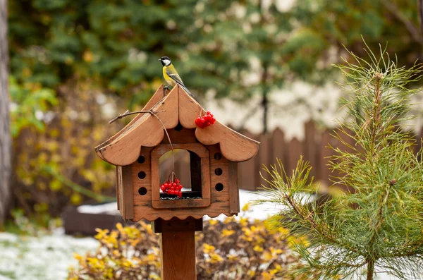 秋の鳥の餌やり秋の鳥の餌やり秋の鳥の餌やり — ストック写真