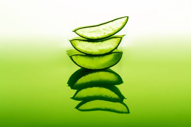 Aloe yaprağını parlak ışıkta kes. Büyük parça aloe yakın plan, tıbbi bitki.