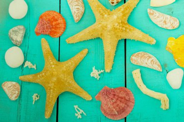 Ahşap bir turkuaz yüzey üzerinde deniz yıldızlarının ve deniz kabuklarının arka planı, deniz teması
