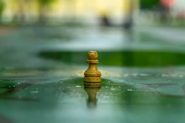 Pieza Ajedrez Abandonada Una Mesa Ajedrez Afuera Parque Después Lluvia Imágenes De Stock Sin Royalties Gratis