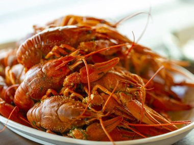 kaynamış kırmızı kerevit, doğal protein yiyeceği, yakın plan.