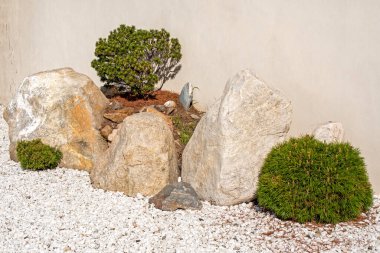 Bahçesinde bitkiler olan taş yığını, güneş ışığı...