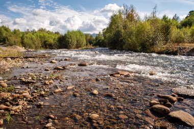 Orman ve dağların arka planında taşlar olan nehir yatağı, yatay fotoğrafçılık.