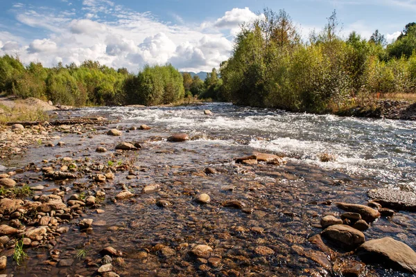 Orman ve dağların arka planında taşlar olan nehir yatağı, yatay fotoğrafçılık.