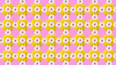 Çiçeklerin pürüzsüz arkaplanı pembe, yatay düzende izole