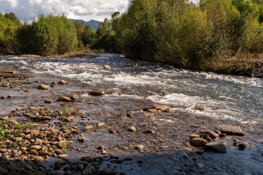 Orman ve dağların arka planında taşlar olan nehir yatağı, yatay fotoğrafçılık.