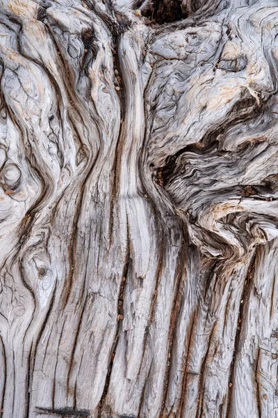 Background Old Wood Knots Close Photo — Stockfoto