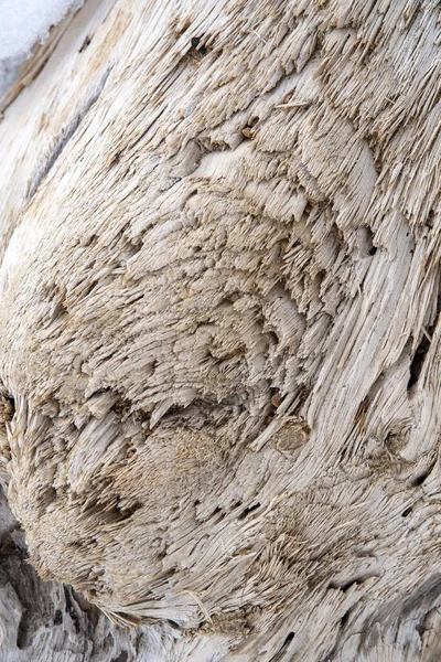 background from old wood with knots, close-up photo