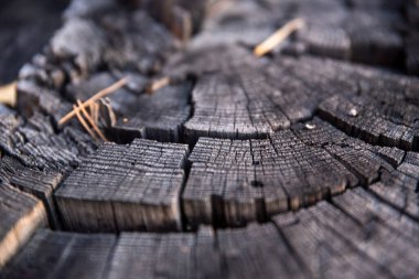 Eski bir parça yanmış ahşap, doku, yatay