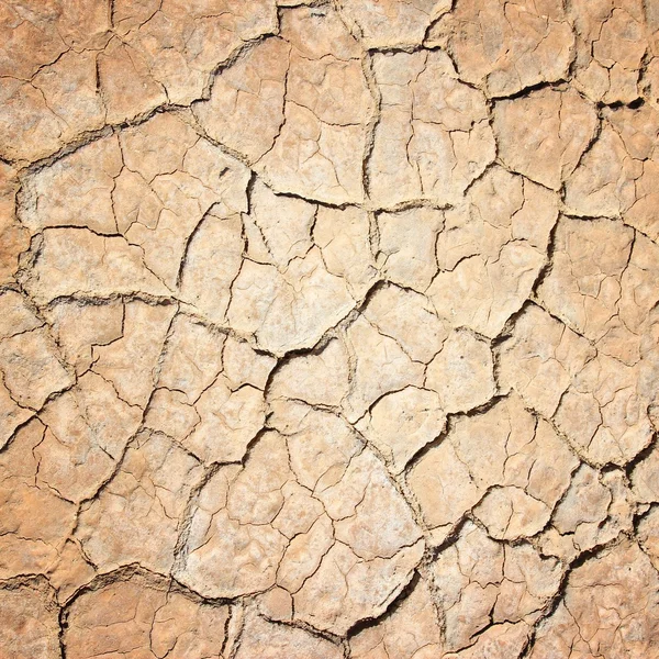 土壤干的背景 — 图库照片