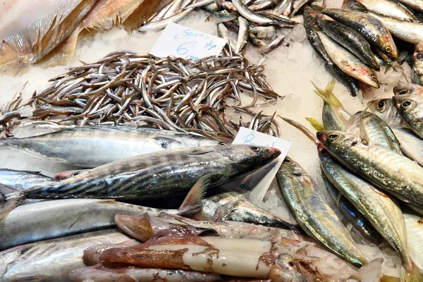 Marché aux poissons de Boqueria — Photo