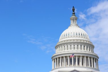 Washington Capitol, Amerika Birleşik Devletleri