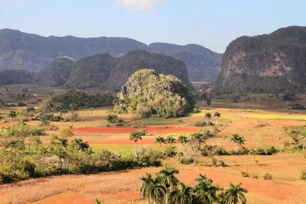 Kubas Landschaft in Vinales — Stockfoto