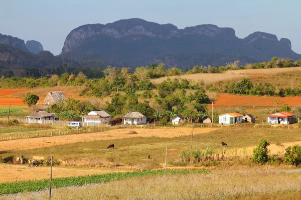 Rural Cuba - Vinales — Stock Photo, Image