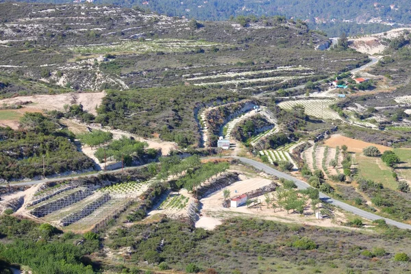 Die Weinberge Zyperns — Stockfoto