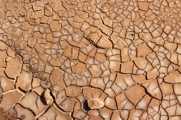 Dry soil in Africa — Stock Photo, Image