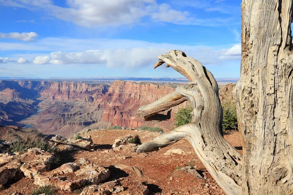 Landschaft im Grand Canyon — Stockfoto
