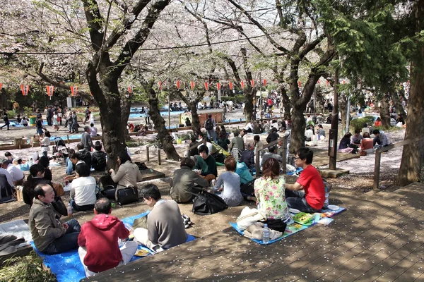 Ueno Park hanami — Stock Photo, Image