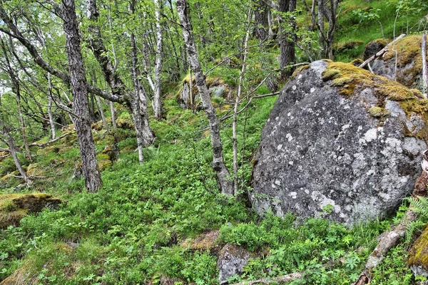 Trolltunga trail en Norvège — Photo