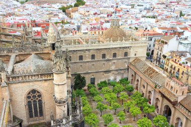 Seville katedral avlu