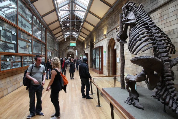 Turistas de Londres - marco da Inglaterra — Fotografia de Stock