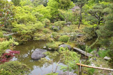 Nara, Japonya - Japon bahçesi