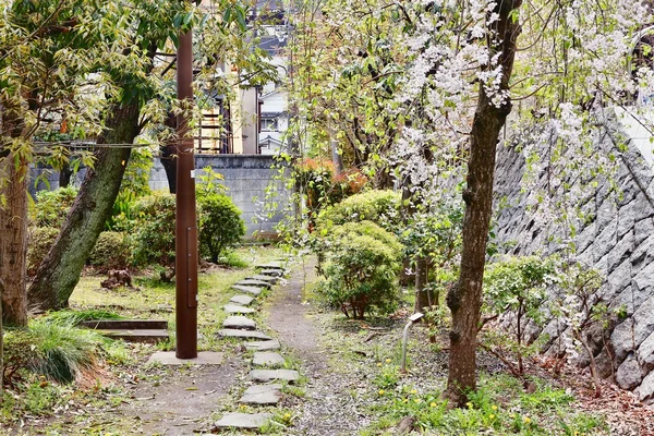 Tokyo park, Japán — Stock Fotó