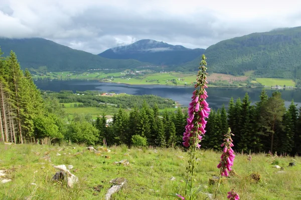 Norge landskap - Malmefjorden — Stockfoto