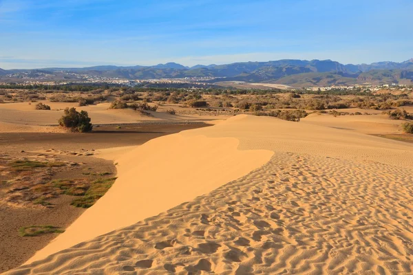 Dune di sabbia, Gran Canaria — Foto Stock