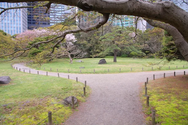 Tokyo park - Hamarikyu — Stock Photo, Image