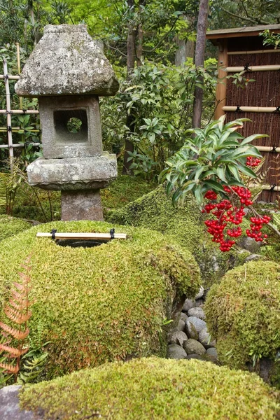 Japanse tuin in nara — Stockfoto