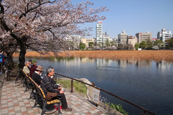 上野公園、東京 — ストック写真