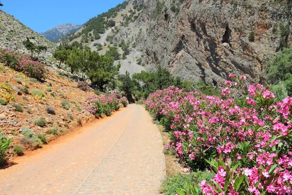 Crete landscape - Greek island — Stock Photo, Image