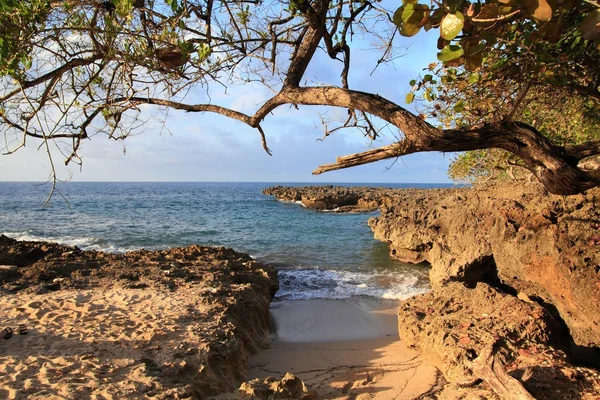 Baracoa, Kuba beach — Stock Fotó