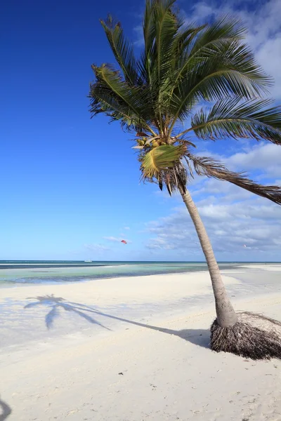 Sandy beach in Cuba — Stock Photo, Image