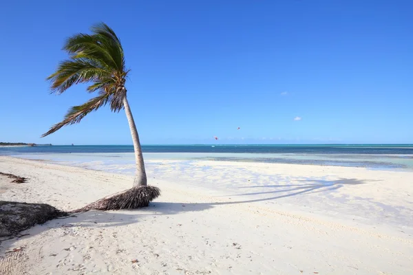 Cayo Guillermo plaży, Kuba — Zdjęcie stockowe