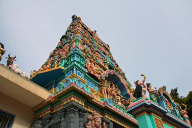 Singapur Simgesel Yapı Mimarlık