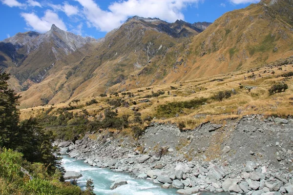 Paisaje Nueva Zelanda —  Fotos de Stock