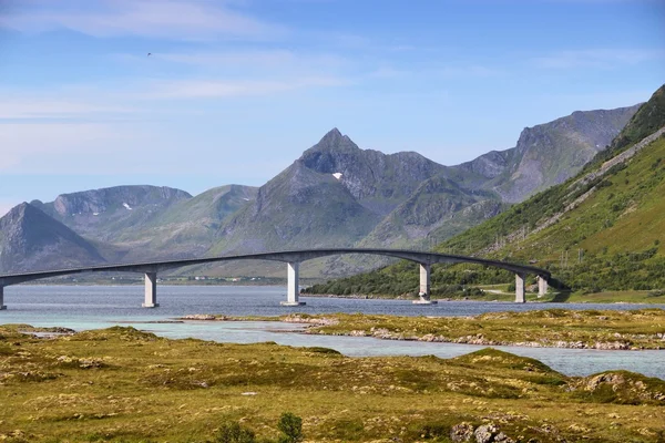 ノルウェーのロフォーテン諸島橋 — ストック写真